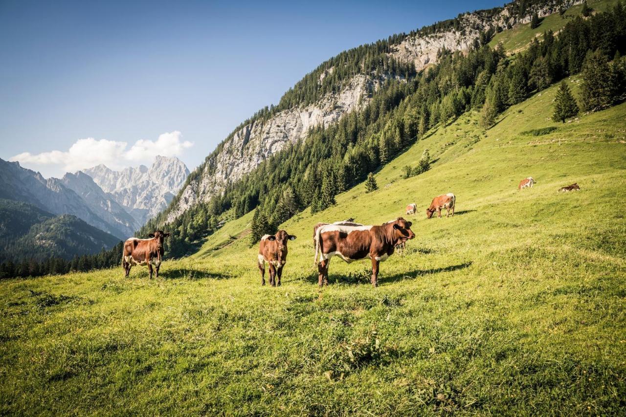 Ferienwohnung Im Gaestehaus Sieger-Brandner Ramsau bei Berchtesgaden Екстериор снимка